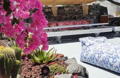 Kalitsi Canaves - Foto 24