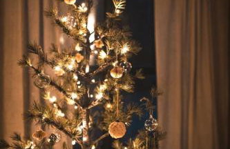 Ferienhaus Gersmühle - Foto 23