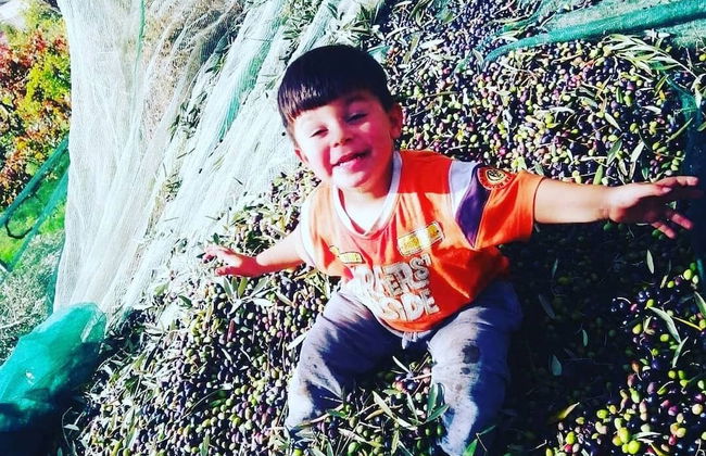 Agriturismo Castanito - Foto 41