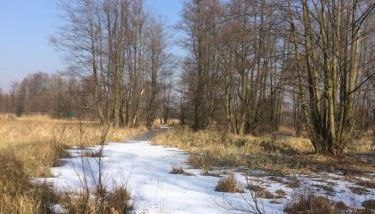 Storchenblick - Foto 2