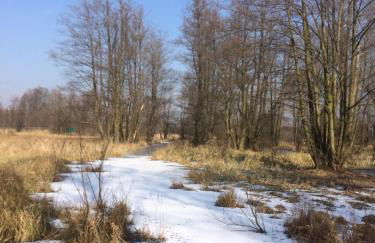 Storchenblick - Foto 2