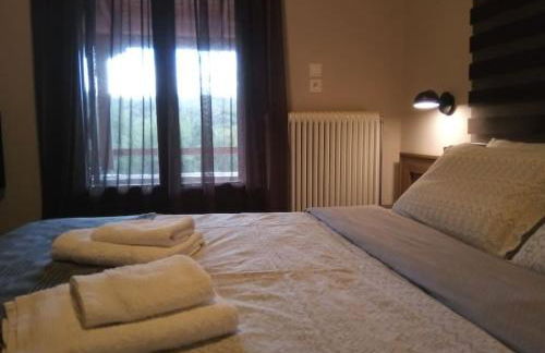 Τείχιο Πατρικό - Tihio Patriko - Πέτρινη κατοικία - Foto 46