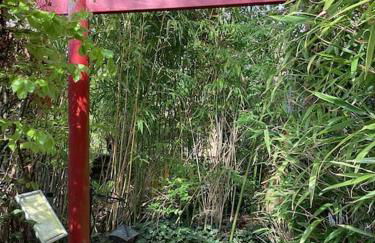 Eyes Ferienhaus im Nationalpark Eifel - Foto 42