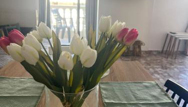 Dimitris Family Apartment - Foto 4