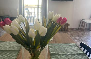 Dimitris Family Apartment - Photo 4