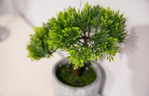 Constancevilla B9 - Grampian Lettings Ltd - Foto 44