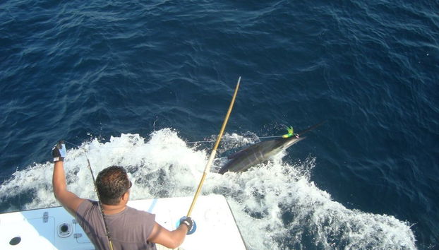 Pesca en alta mar - Foto 3