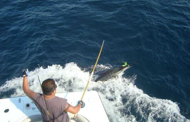 Pesca en alta mar - Foto 3
