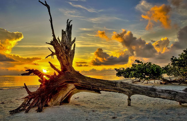 GreenLinks Golf Villas at Lely Resort - Photo 55
