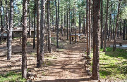 The Cozy Cottage - Foto 49