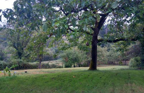 Ma gimeloise - Foto 13