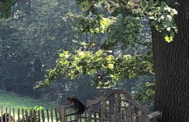 Gartenblick - Foto 28