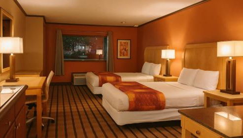 Gated 2 Double Beds Studio with Full Kitchen 106 - Foto 2