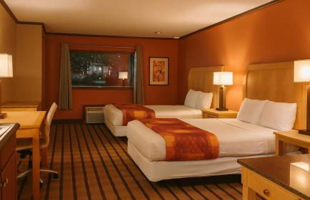 Gated 2 Double Beds Studio with Full Kitchen 106 - Foto 2