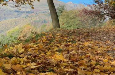 A CASA DI SISSI - Foto 29