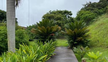 casa na serra carioca - Secretário - Foto 3