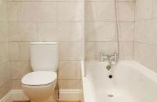 Phlox Garden - Foto 52