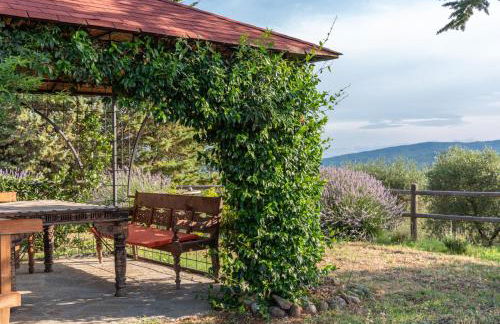 Country House Art and Garden - Foto 27