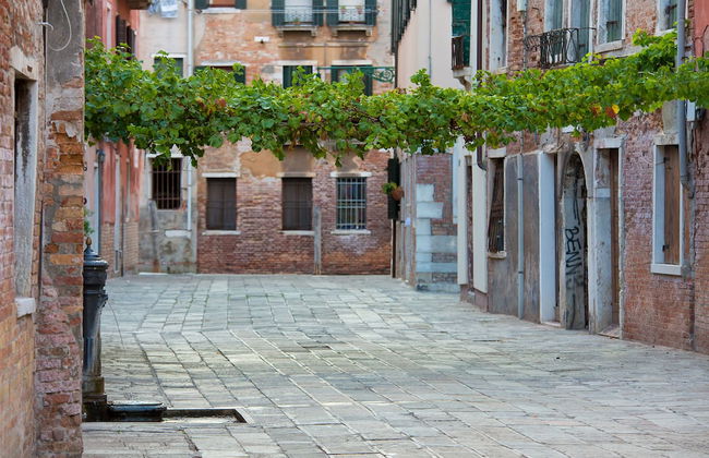 Alla Vite Dorata - Foto 44