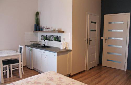 Apartamenty w Kamienicy - Foto 4