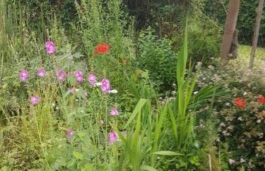 Weschnitzstubb - Foto 4