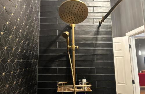 The Historic Lyric Penthouse with Private Rooftop - Foto 41