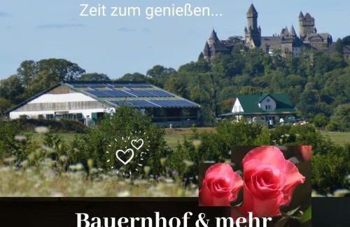 Kleine einzigartige Ferienwohnung auf dem Bauernhof, direkt in der Natur mit Blick auf Schloss Braunfels - Foto 50