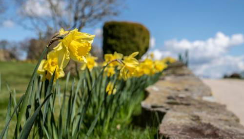 Nant Ucha Farm - Foto 4