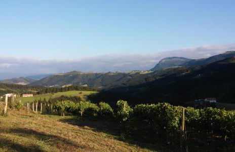Agroturismo Erlete Goikoa -ESTAMOS EN EL CAMINO DE SANTIAGO -WE ARE ON THE CAMINO DE SANTIAGO- SENDERISMO-RUTAS Y BICICLETA - Photo 64