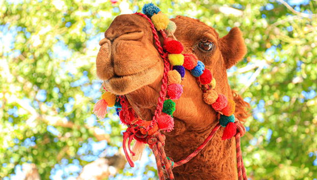 Canyon’s Kingdom Experience & Aqua Park Ticket - Foto 4