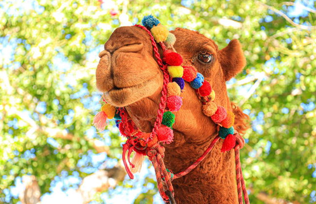 Canyon’s Kingdom Experience & Aqua Park Ticket - Foto 4