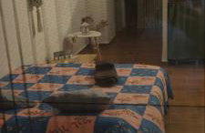 White Lotus seaside apartment - Foto 71