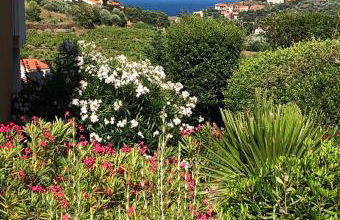 Les Vigies-T4 vue mer-terrasse-parking-6 pers - Foto 32