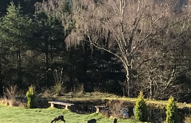 Torran View - Foto 30