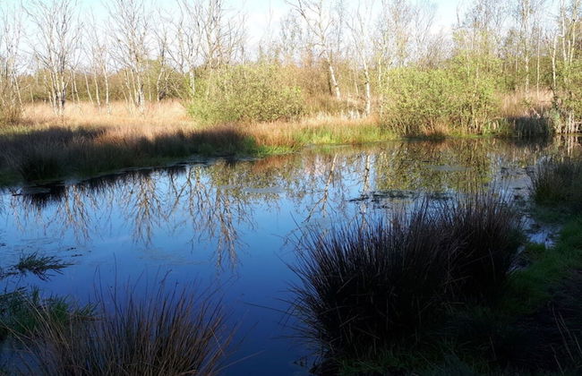 Holiday House House by the Lake - Foto 3