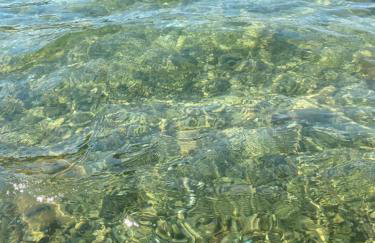 Apartment Drazan - Foto 75