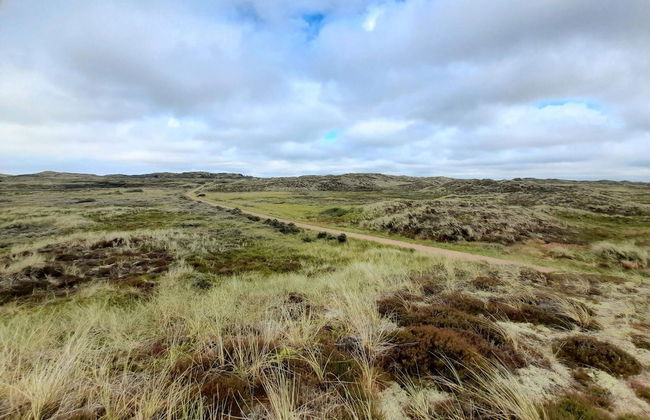 5 Person Holiday Home in Thisted-by Traum - Foto 9