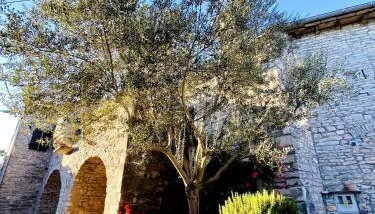 Authentic stone house Miro - Foto 3