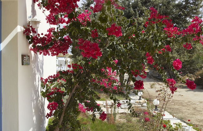 Kedros Villas - Photo 69