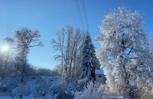 Vogtmühle - Foto 48