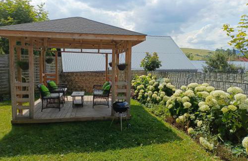 Hortensjowy Zakątek w Pieninach - Foto 24