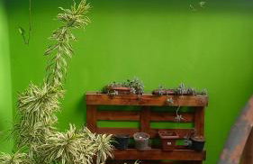 hospede na região Pampulha com garagem e churrasqueira - Foto 43