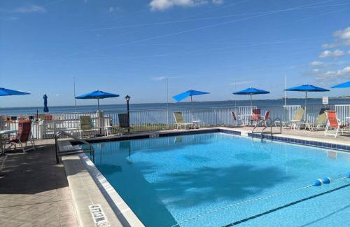 Sunset Paradise - Find yourself in Tampa - Photo 45