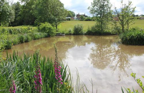 Langdale Lodge - Foto 15