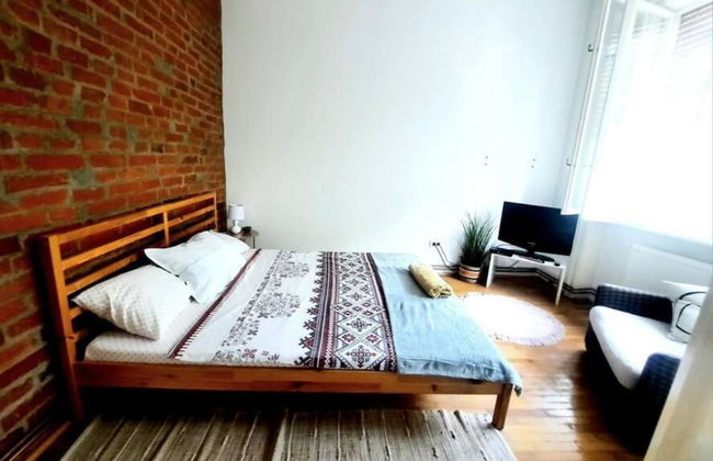 Boheme Proprety in the Heart of Timisoara - Foto 8