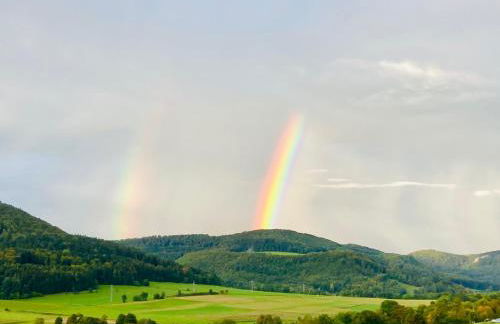 Panoramablick mit Premium-Wanderwegen vor der Haustür - Foto 44