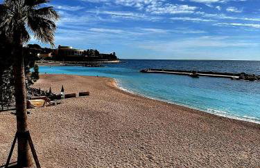 FRONTIÈRE MONACO - Foto 31