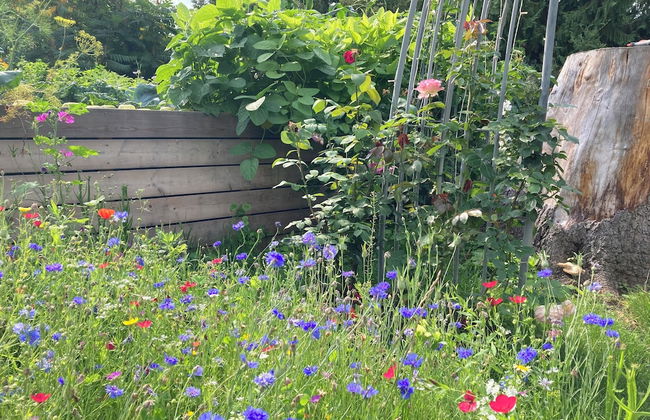 Kastanienhof Erfurt - Foto 1