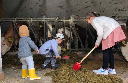 Bauernhof Nißl - Foto 36