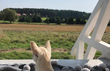 Giżycko-Przerwanki Domki Widok na Mazury - Foto 46